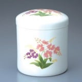 白胡蝶蘭